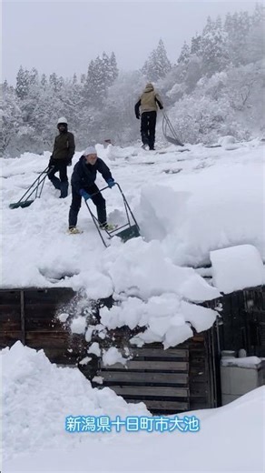 この冬はじめての民家雪下ろし③《室井さんの家》映画『室井慎次 敗れざる者』『室井慎次 生き続ける者』でロケに使用された民家 #shorts