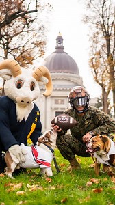 Day 8 of #12DaysofBeatArmy ⚓️🏈🐐 We are deep into Beat Army Week and Fired up to complete…the Mission! 🦅⚓️ BEAT ARMY!!! 💪💥🫏🪖 Just like our Win last year -NOTHING’S CHANGED! 👊 🐐***EXCEPT One Thing… ARMY STOLE THE WRONG GOAT! *** Silly West Point Cadets, check target coordinates next time. 🫡 #OopsWrongGoat #KnowYourGoat #CheckArmyTgtCoordinates #ArmyScapeGoat 12DaysofBeatArmy NothingsChanged | USNA Superintendent
