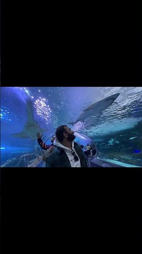 Toronto Lo Mind-Blowing Places 🔥 CN Tower + Ripley’s Aquarium | Vinay Vlogs