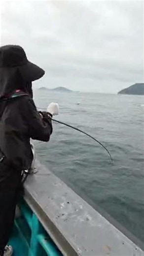 Octopus Fishing Live Highlights