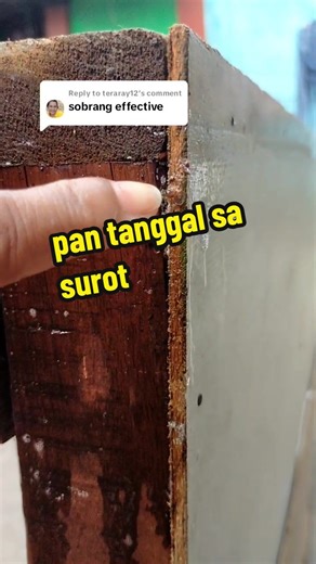 Effective Homemade Solutions to Get Rid of Bed Bugs