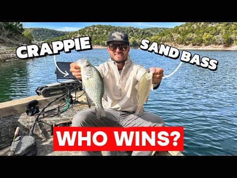 CRAPPIE vs SAND BASS Which One Is Better? {Catch Clean Cook}