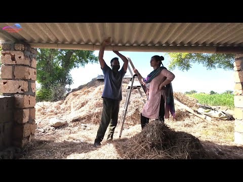 Bhura makdi ka naya ghar