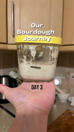 Day 3 - Our Sourdough Journey (Making a start from scratch) ✨In this video ✨ I removed half of the starter Added two spoons of bread flour Splash of warm tap water Mixed until a smooth wet piece consistency Placed my laid on top(not air tight) Leave sit on the countertop in the kitchen for another 24 hours. #sourdoughstarter #makingsourdough #fromscratchcooking #learntocookandeatwell #newseries