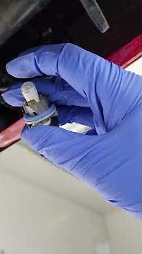 2022 and 2023 F-150 - LED License Plate Bulb Replacement Procedure