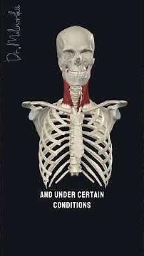 Sternocleidomastoid Muscle: Anatomy and Trigger Points.