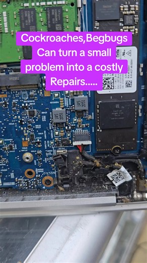 ● Cockroaches, Begbugs can turn a Small problem into a Costly repair..... ●●●● Leta tuishughulikie... ●●●● Talk to Experts #repair #laptop #laptopdeals #motherboardrepair #laptopservice
