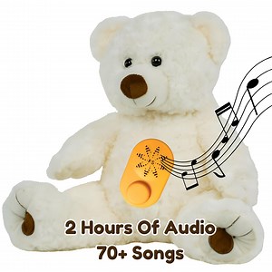 Banjo the Bear: Any Song or Personalized Special Audio in A Stuffed Animal Perfect for Gifts & Even Adding A Loved Ones Voice - Etsy