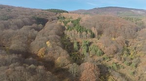 Drone Views Autumn Forests Mountains: Stockvideos & Filmmaterial (100 % lizenzfrei) 1018933495 | Shutterstock