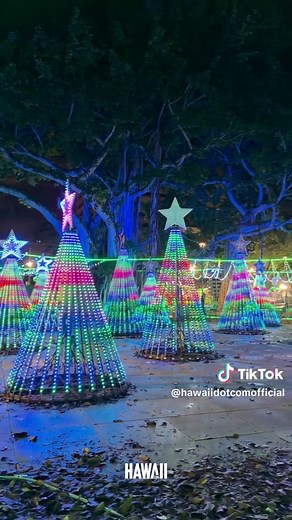 If you’re visiting Oʻahu this holiday season, you won't want to miss your chance to jingle down to the new Show Aloha Land at Thomas Square Park. The free, festive experience offers keiki train rides, bouncy houses, photos with Santa, and more through Christmas Day. SHOW HOURS: 5PM–10PM PARKING: $10 parking is available at McKinley High School 📍 Thomas Square Park 1925 S Beretania St., Honolulu, HI 96814 For more travel ideas and must-visit spots, visit Hawaii.com. [link in bio]