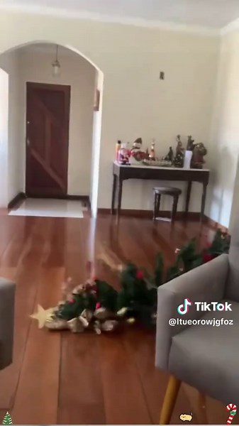 Cats vs Christmas Trees: Hilarious Holiday Moments