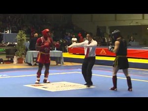 Kung Fu Wushu - Championnat de France Sanda - Sébastien Suchet - Bei Long Quan - Senlis
