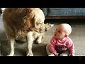 When Baby and Dog Become Inseparable