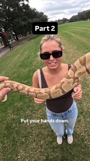 Kevin Cochran on Instagram: "#python #ballpython #reptiles #snakes #snake"