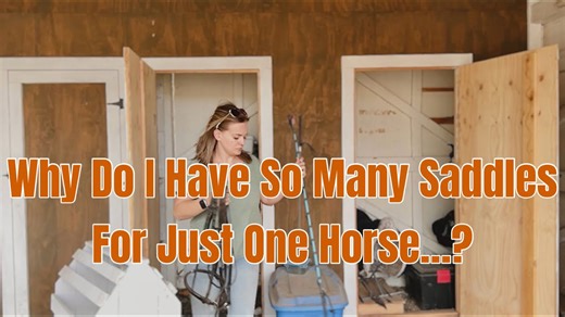 You won’t believe our new tack room setup