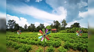 Garden Wind Spinner,73CM Rainbow Metal Windmill Garden Decor,Wind Spinner with Garden Stake,Swivel Outdoor Wind Sculpture Yard Decor(#2)