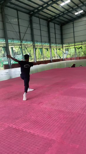 Daoshu basic training # # # #highlightseveryonefollowers2025 #marthalarts #wushu #highlight #kungfu | Ziawushu