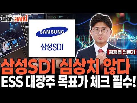 The Power of Samsung SDI, the Leading Stock in Secondary Batteries and ESS! How High Will the Sto...