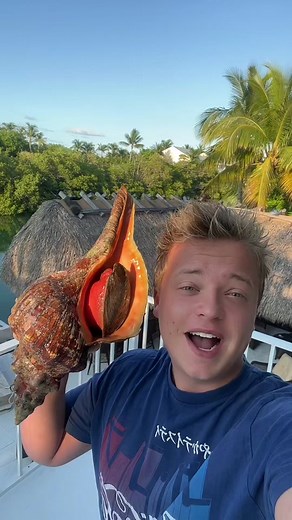 Would you eat a Horse Conch?? #fyp #foryoupage #horseconch #greenscreen