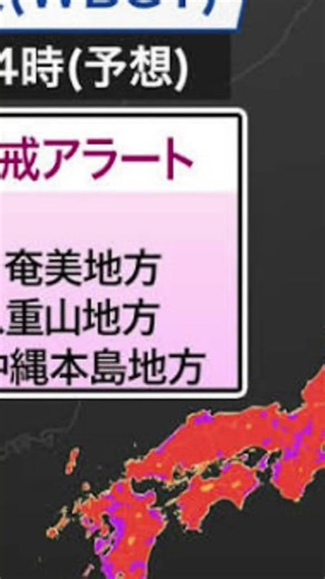 𝑱𝒖𝒏𝒊𝒐𝒓