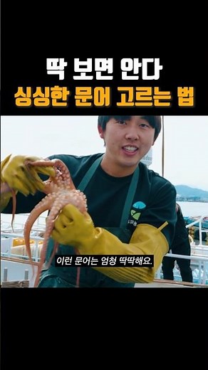 [현장다큐] 딱 보면 티나는 문어들 #바다와청년#캠낚여지도#한국인의밥상#다큐3일#한국기행#극한직업#문어#돌문어 #바다와청년 #automobile #일상다큐