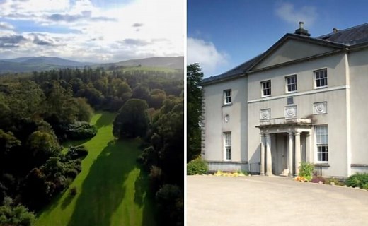 Beyond the Trees at Avondale: The 2026 Guide