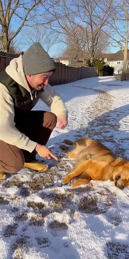 Play dead（死んだふり） #pets #movie