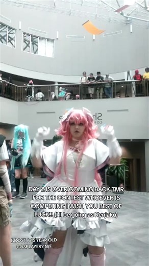 Madoka Cosplay Highlights from Anime Ohio 2025