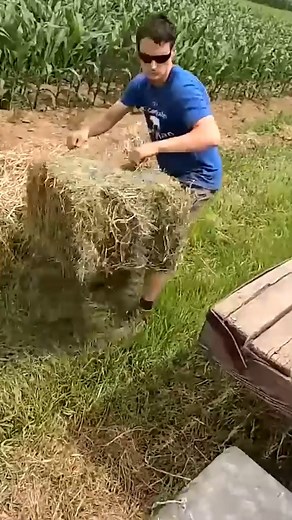 Hay Squares Are So Oddly Satisfying! #farming #dairyfarm #viralreels #dairyfarming #viral #reels | The 10th Generation Dairyman