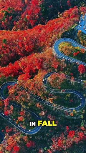 Japan's Stunning Sakura & Koyo Seasons: Must-See Beauty #shorts