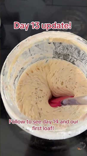 Day 13 of making a sourdough starter from scratch! #sourdough