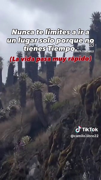 Créeme, Vale la pena. 🙌 #travel #parati #aventura #viaje #ruta