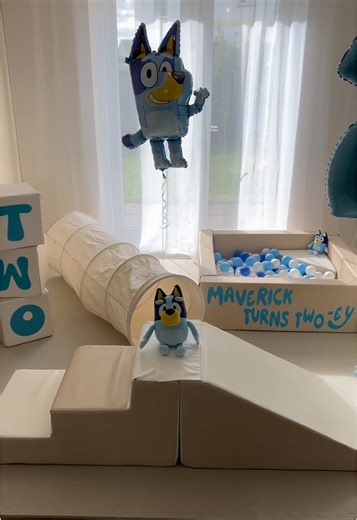 Soft Play Hire for Bluey Theme Parties