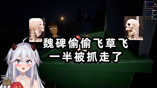 【熟肉/Veibae】魏碑偷偷飞草飞一半被抓走了