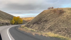 56 reactions · 24 comments | JSipp Sipp on Reels | Facebook