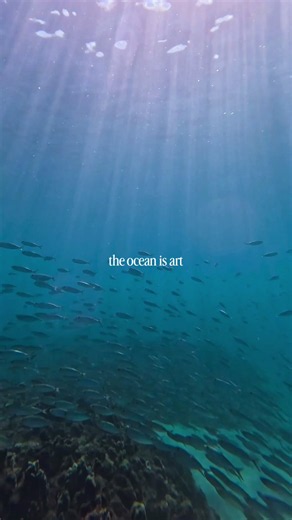 The best #ocean #underwater #oahu #freedive #marinelife