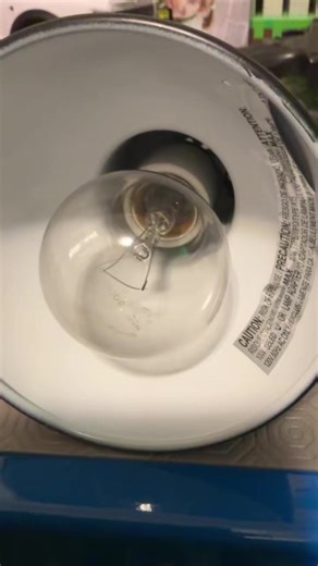 My incandescent bulb collection updated