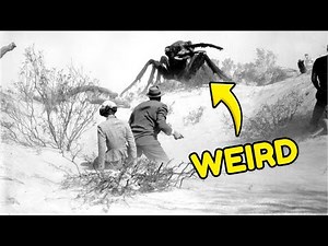 THEM! (1954) - 16 Weird Facts Of The Film That Changed Monster Movies Forever
