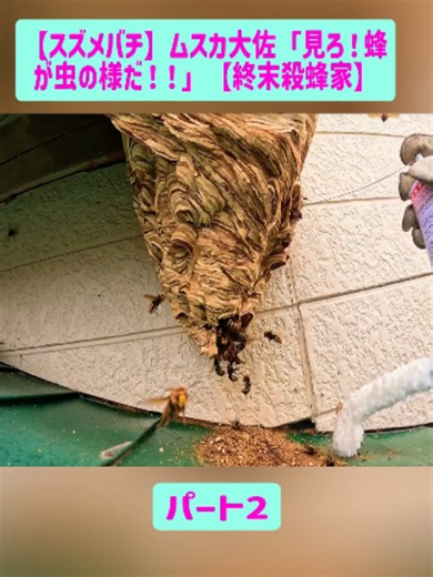 スズメバチ駆除と養蜂の違い：終末殺蜂家の実例レビュー