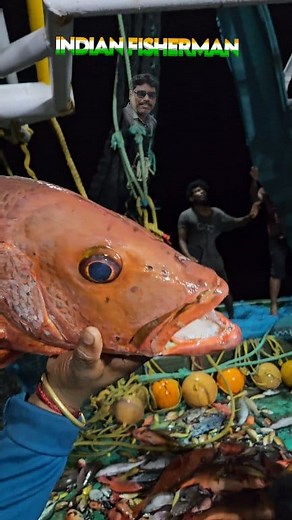 57K views · 934 reactions | Redsnapper fishing in INDIAN trawler fishing style | Indianfisherman CV | Facebook