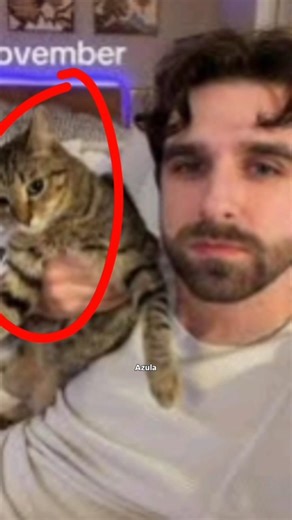 Daniel Ferri famous why ?