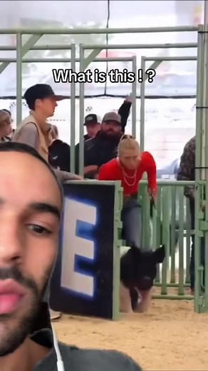 @Lawrence Johnson I tried to answer all your Questions about showing Pigs 😊! #showpigs #pigshow