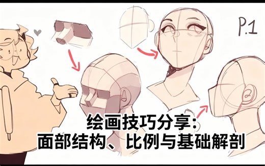 [中配]绘画技巧分享：面部结构、比例与基础解剖 - Bluebiscuits