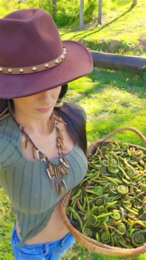 Easy pickled fiddleheads #fiddleheads #ramps #wildfood #foraging #forager #Fermentation | HealthPrimitive