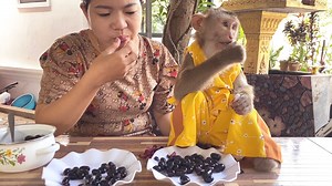 SiIIy Grl Judee Is Eating The Epic Jambulan Plum With Mom | The Judy Family