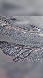 Patterns of giant trees on the tidal flat are being covered in ice due to cold snap near Qiantang River in east China's Zhejiang province. The "tidal trees" are natural phenomena that occur as the rise and fall of tides result in the formation of forest patterns on mud flats. #SeeChina #ChinainSeconds #ChineseCulture For more: https://english.cctv.com/ | CCTV