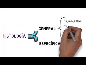 INTRODUCCIÓN A LA HISTOLOGÍA