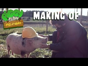 Piggy Tales - Pigs at Work | Making Of - The Research