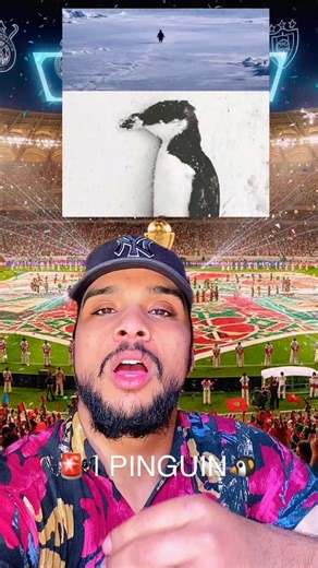 ‎Lhindi | الهندي 🇲🇦‎ | 🚨 | PINGUIN 🐧 | Instagram