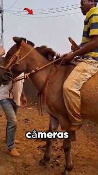 Most Unexpected Animal Moments Caught on Video | Ep. 68